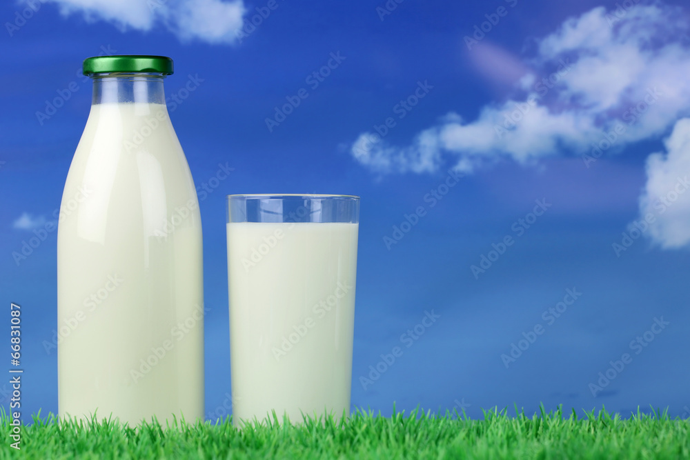 Frische Milch in der Flasche und im Glas Frische Milch in der Flasche und im Glas
