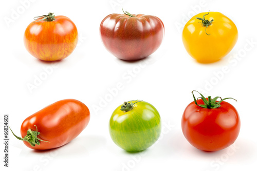 Many varieties of colorful tomatos