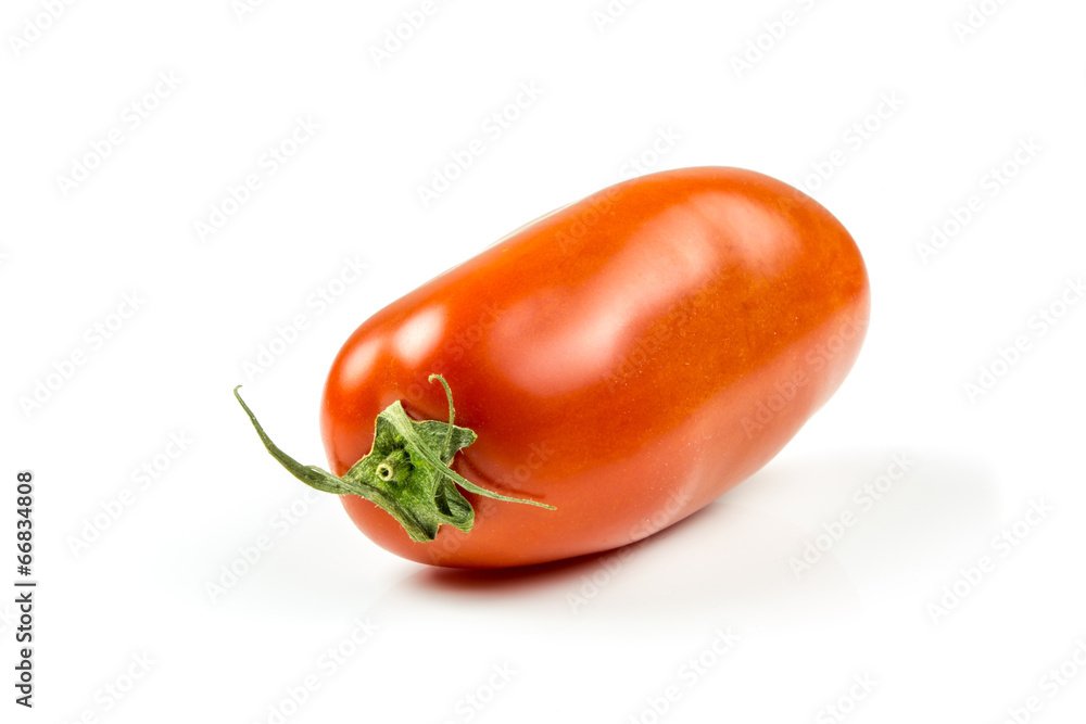 fresh plum tomatoes isolated on white fresh plum tomatoes isolated on white