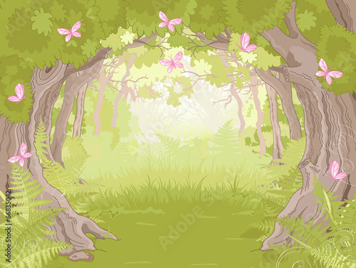 Glade in Magic forest