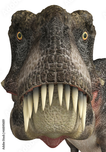 tarbosaurus face