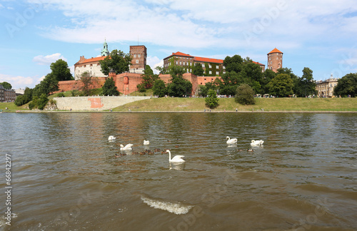 Kraków - zamek - łabędzie - rzeka