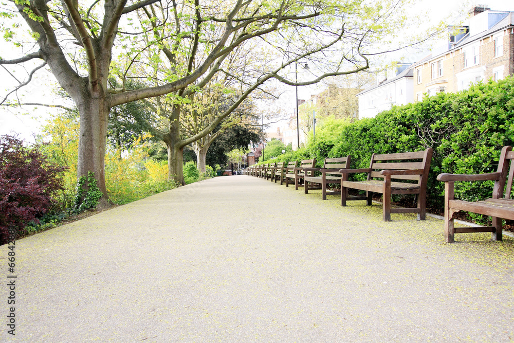 Fototapeta premium Beautiful park with trees and benches