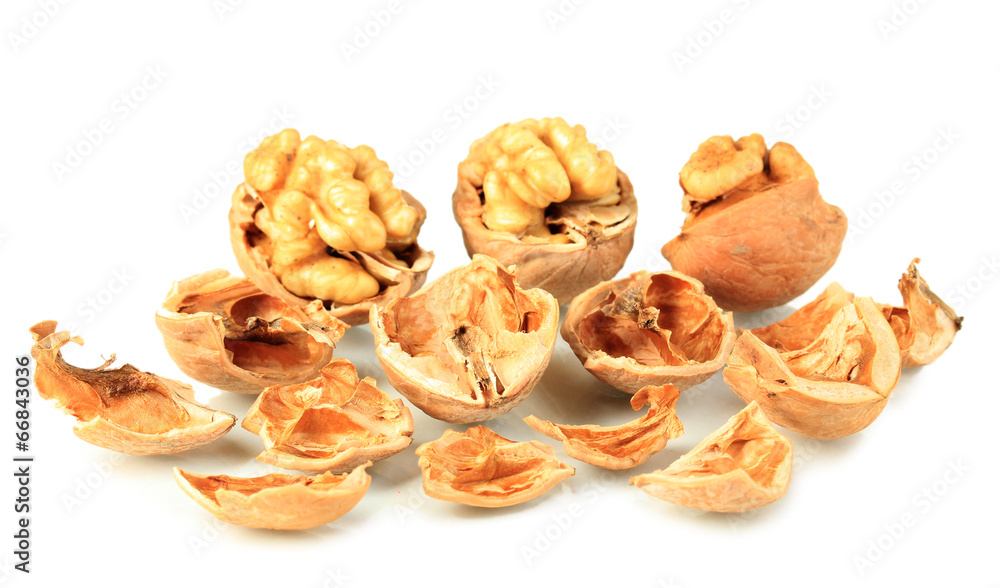 Broken walnuts isolated on white Broken walnuts isolated on white