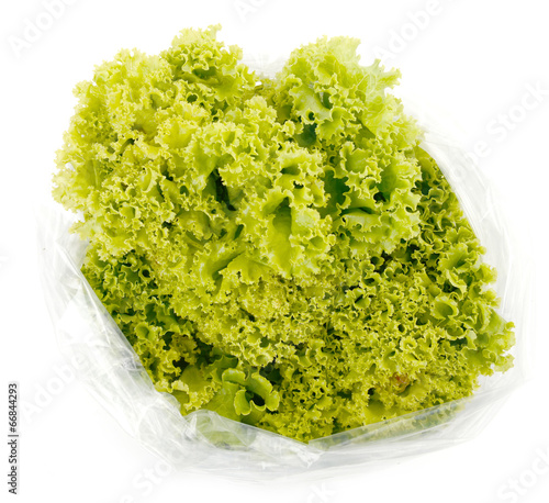 iceberg lettuce in plastic bag package