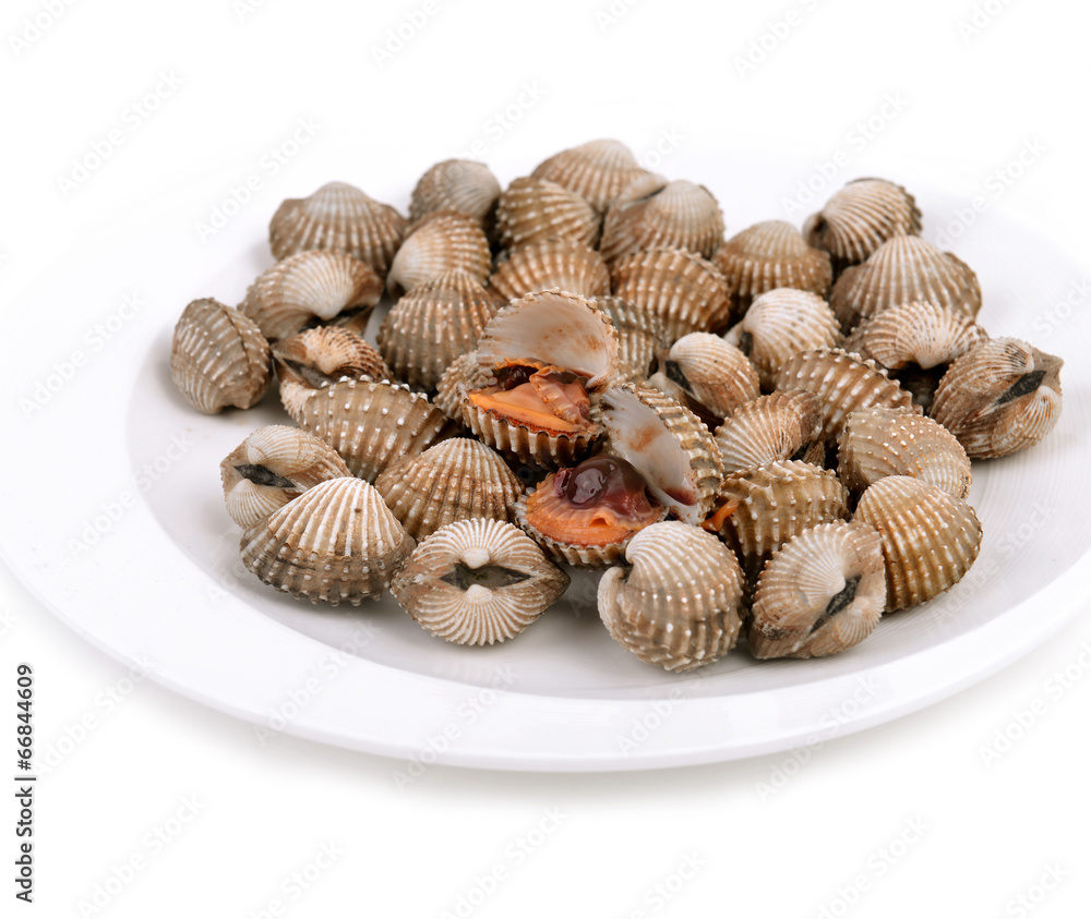 blood cockle cooked blood cockle cooked