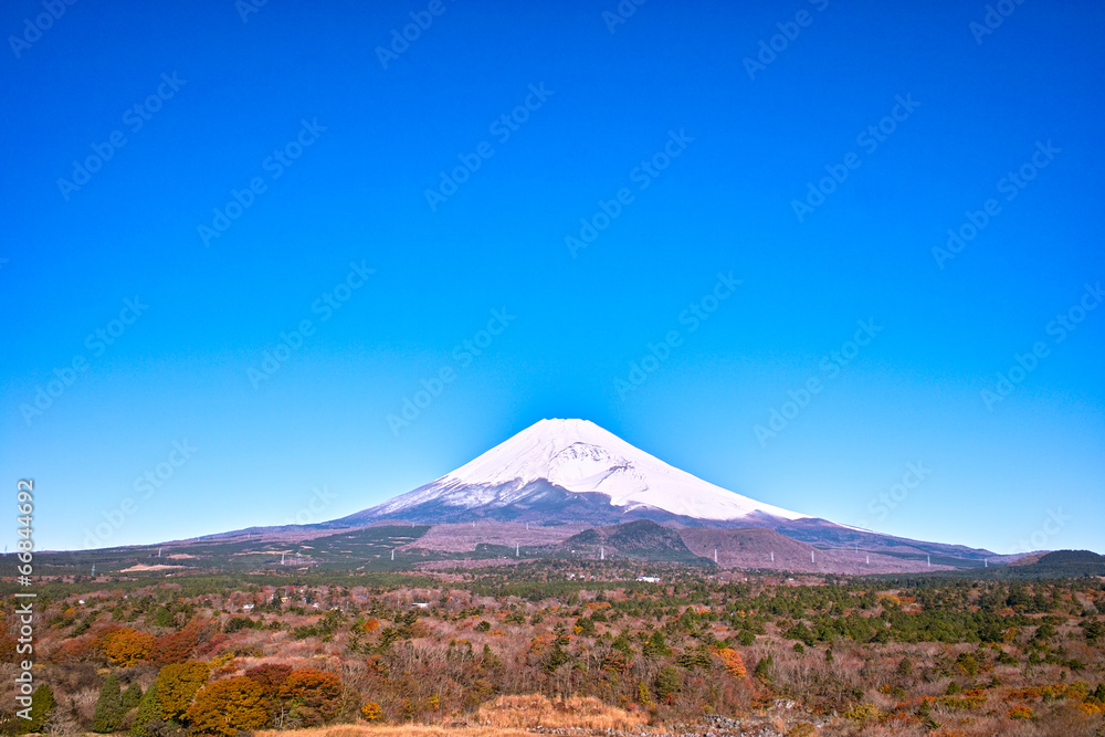 十里木別荘地の紅葉と富士山