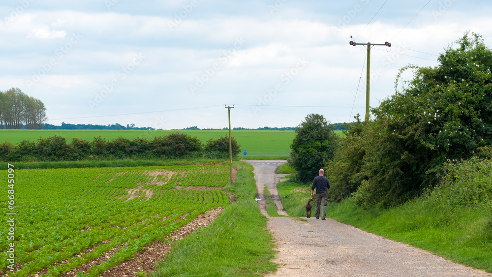 Suffolk countryside dog walker