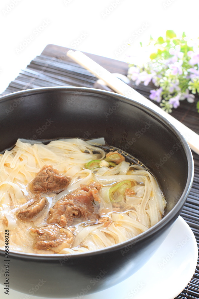 Vietnamese food, simmered beef and rice noodles Vietnamese food, simmered beef and rice noodles