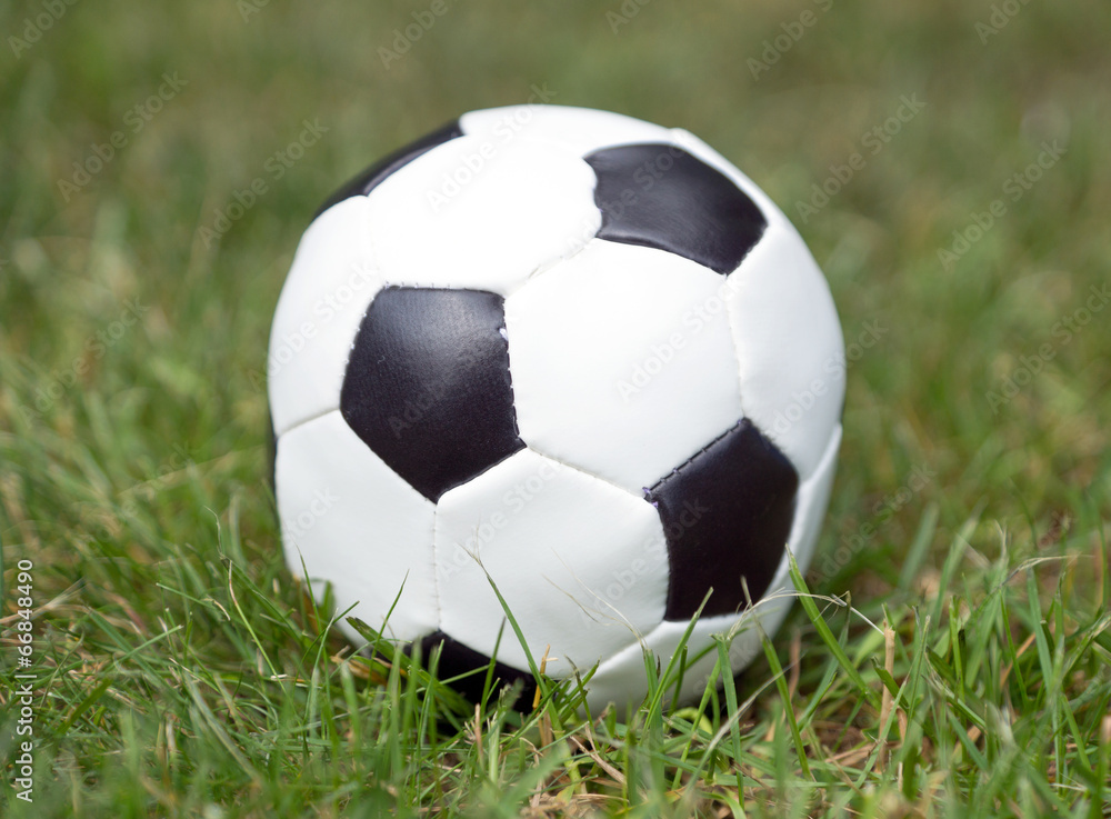 Fototapeta premium Fußball auf dem Rasen
