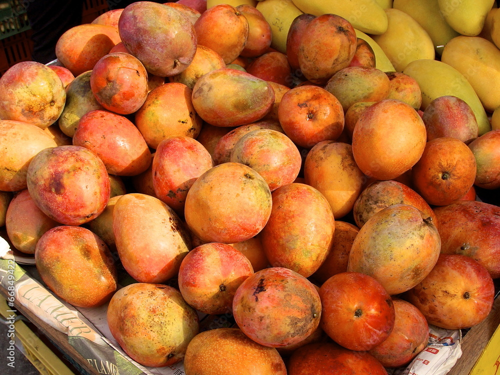 Fresh Mangoes closeup Fresh Mangoes closeup