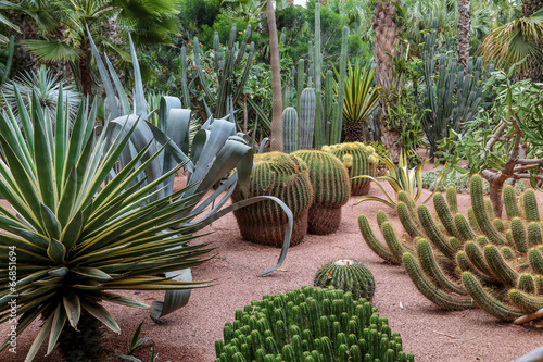 jardin tropical de Majorelle 1
