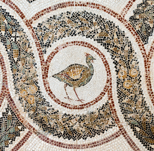 Roman Mosaic (3)