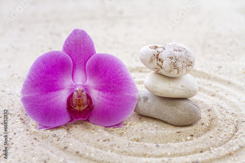 Orchid with zen stones in the sand