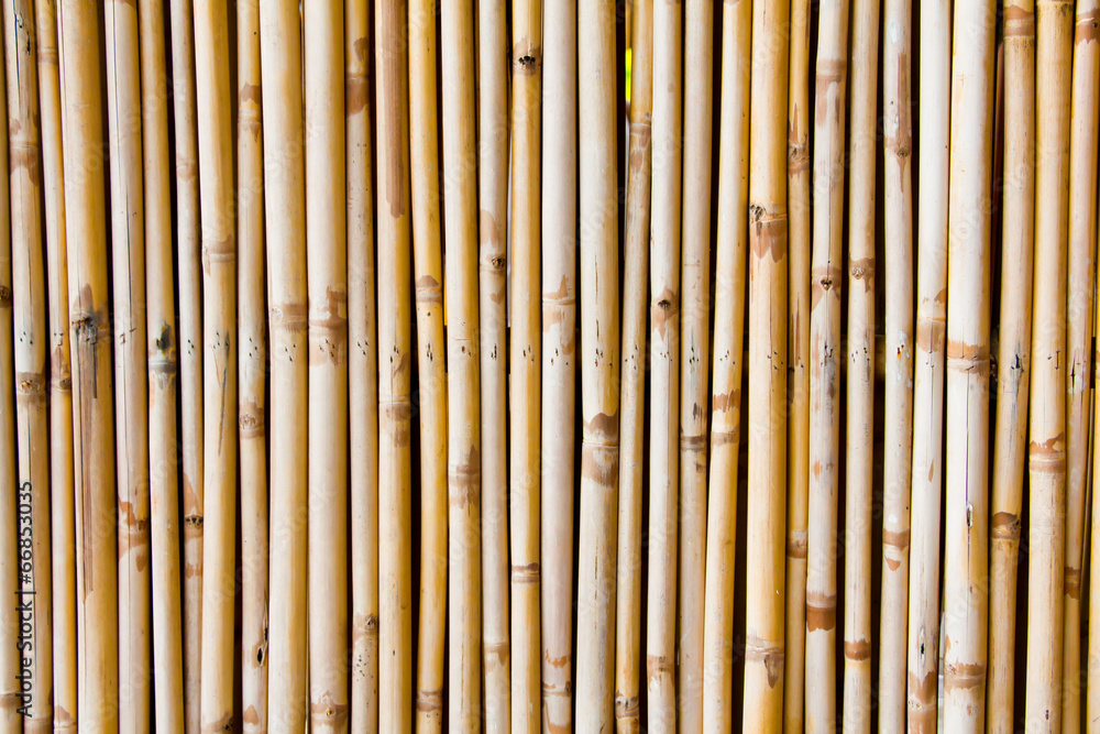 Bamboo background in vertical line Bamboo background in vertical line
