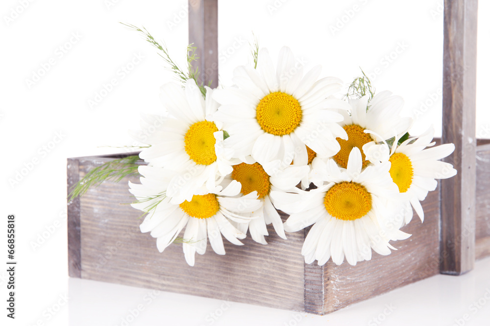 Obraz premium Beautiful flowers in crate isolated on white