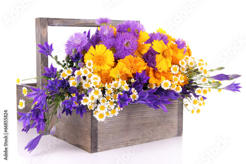 Fototapeta Naklejka Na Ścianę i Meble -  Beautiful flowers in crate isolated on white