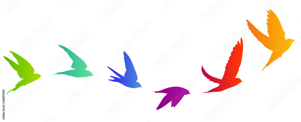Vogelzug Vektor Silhouette Vogelzug Vektor Silhouette