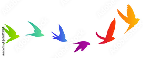 Vogelzug Vektor Silhouette