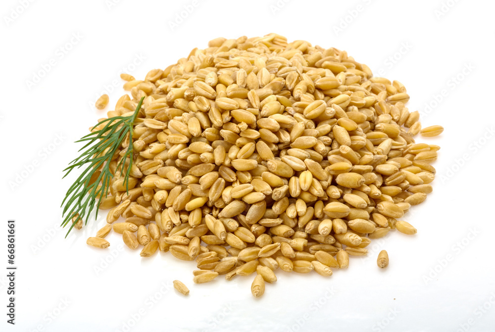 Gold rice Gold rice