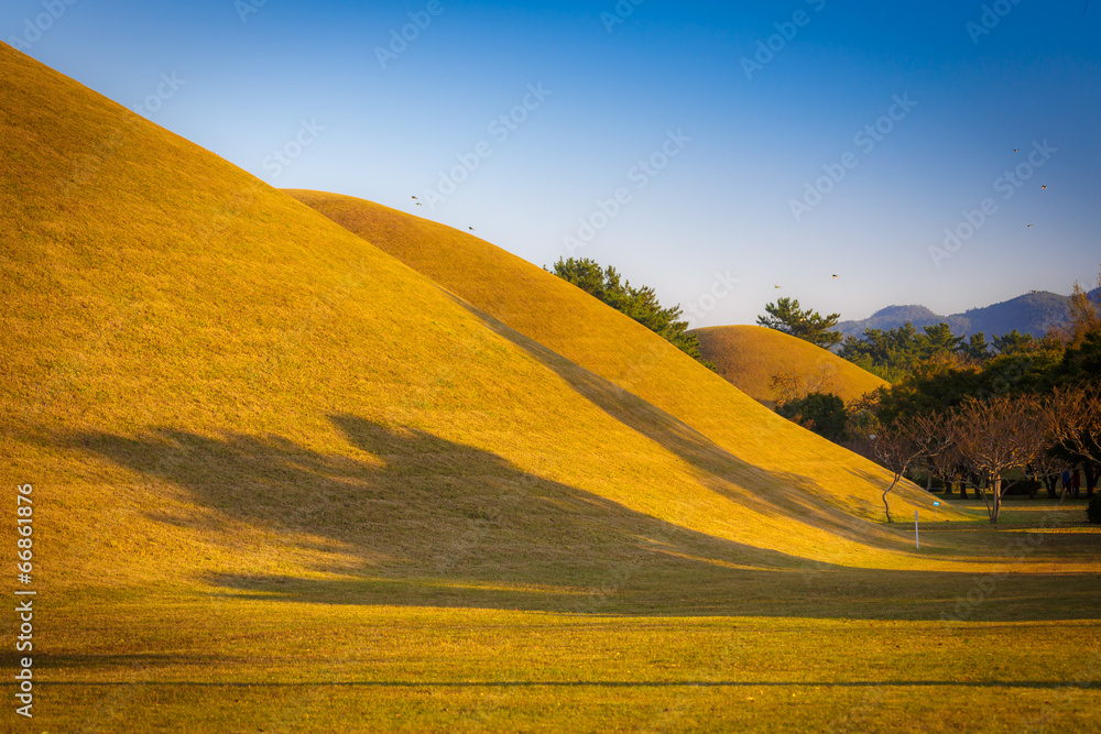 Naklejka premium Park on the territory of ancient tombs in Gyeongju