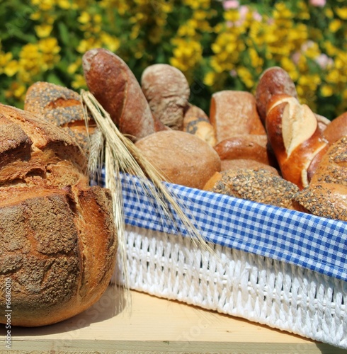 brot aus biologischem anbau photo