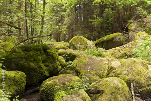 Nature Reserve Doost photo