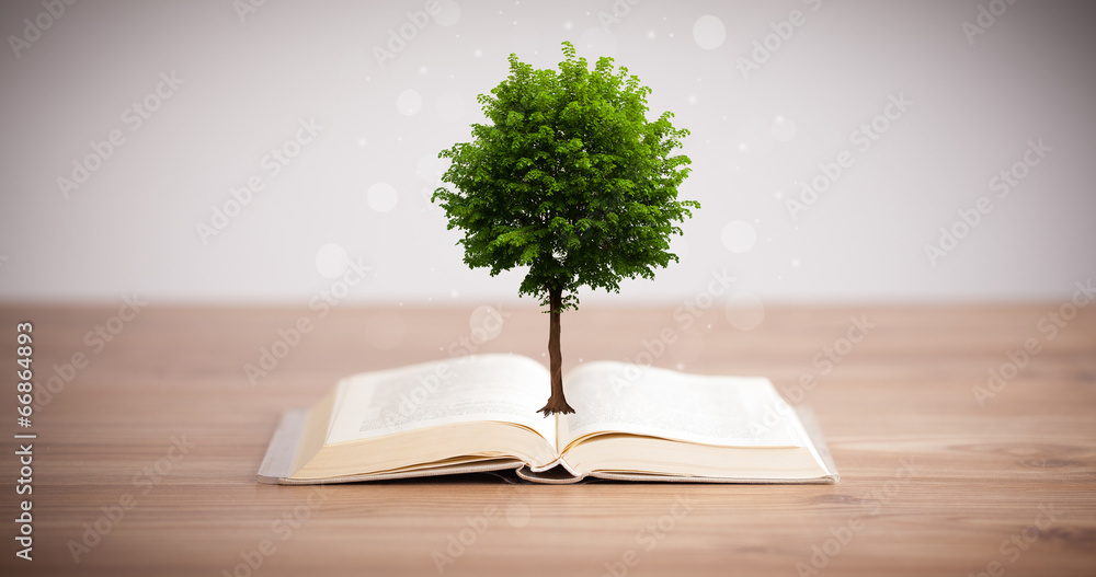 Tree growing from an open book - obrazy, fototapety, plakaty 