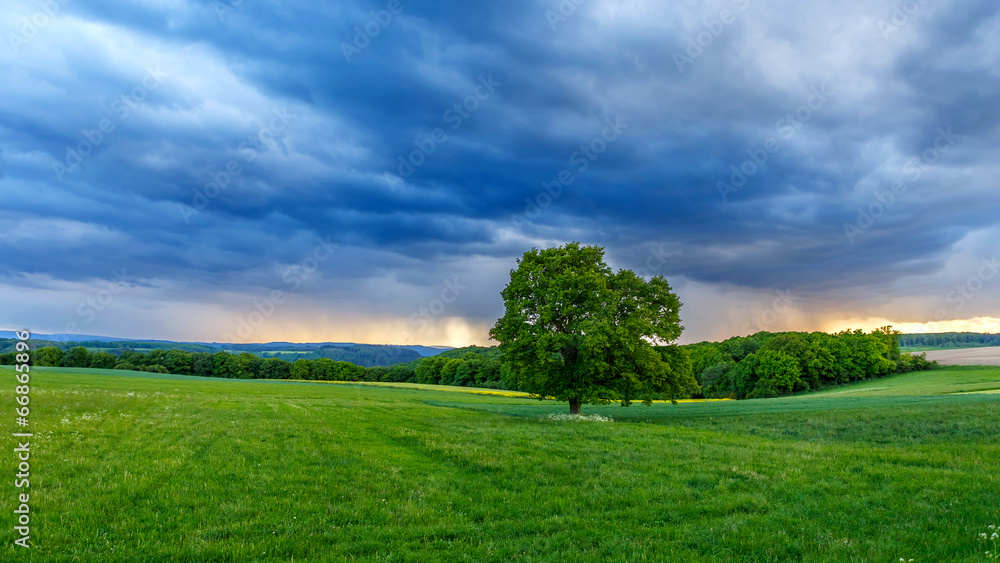 Obraz premium Sommergewitter