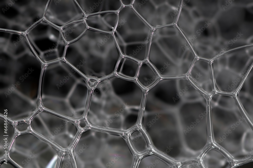 Fototapeta premium Lattice