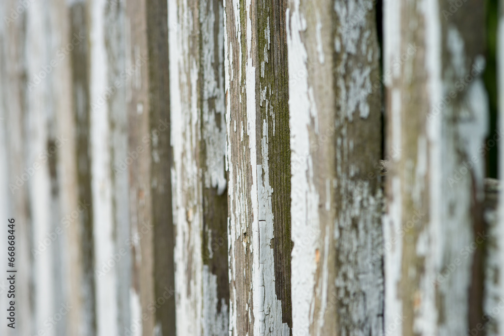 Fototapeta premium Drewniany płot tło