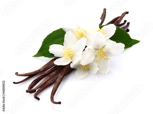 Vanilla with jasmine