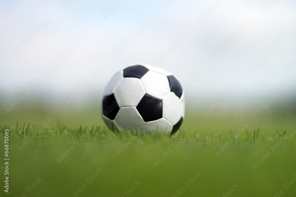Fototapeta premium Fußball auf dem Rasen