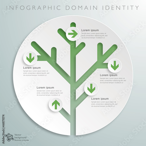 Infographics Vector Background Domain Identity