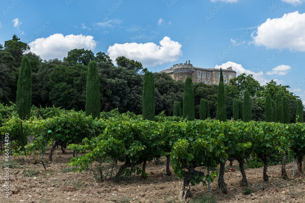 paysage château  vignes  thuyas