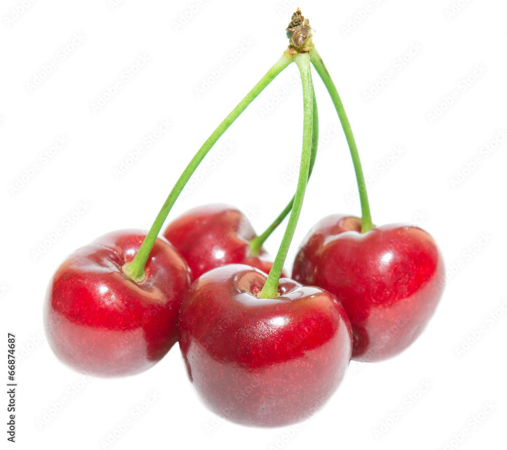 cherry isolated on white background cherry isolated on white background
