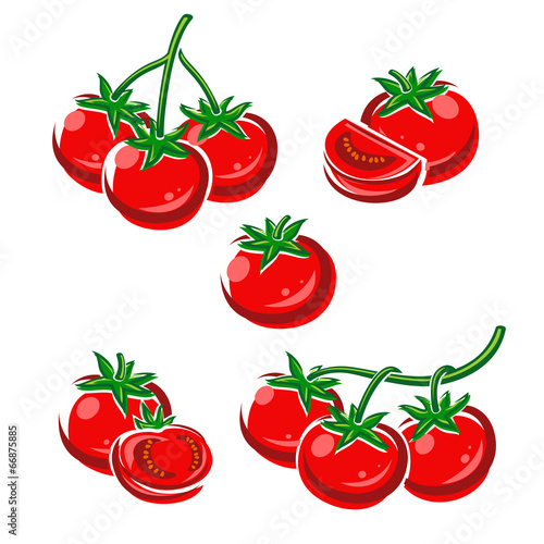 Tomato set. Vector
