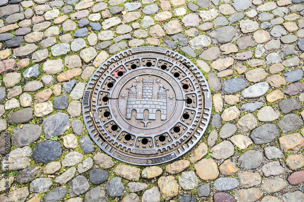 The Freiburger Muenster at the gully cover