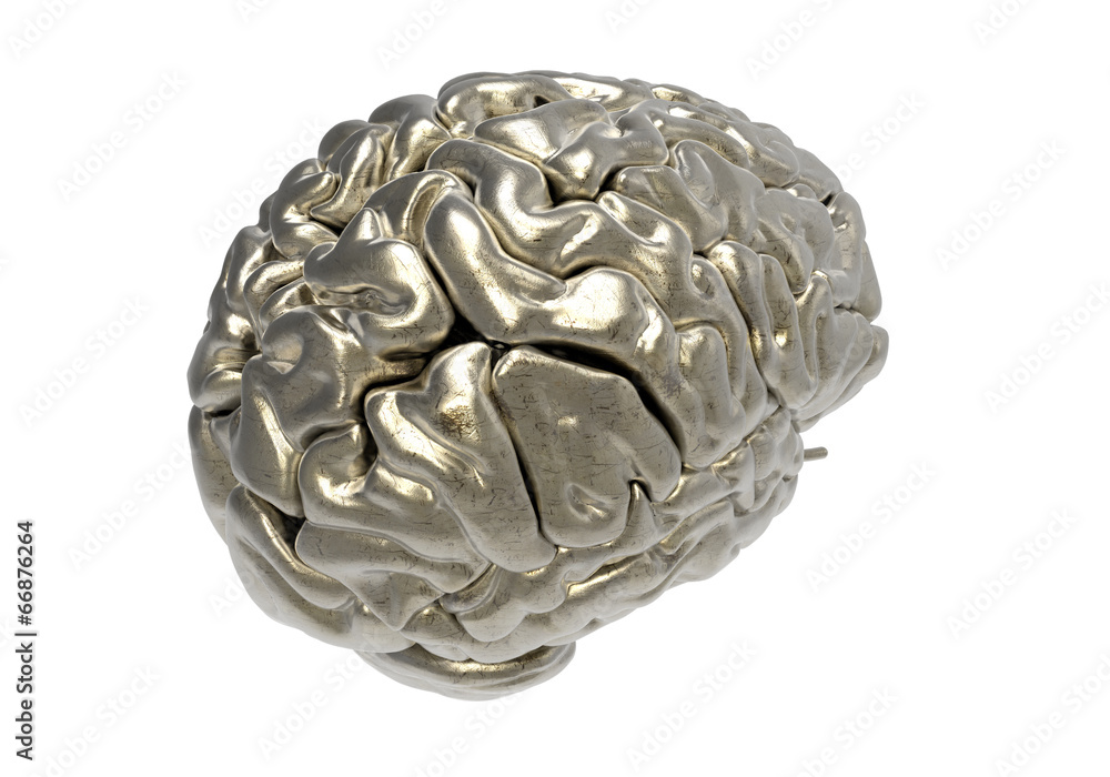 brain with clipping mask brain with clipping mask