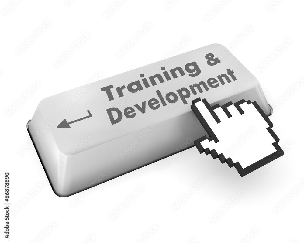 Training & Development