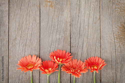 Fototapeta Naklejka Na Ścianę i Meble -  Wooden background with orange gerbera flowers