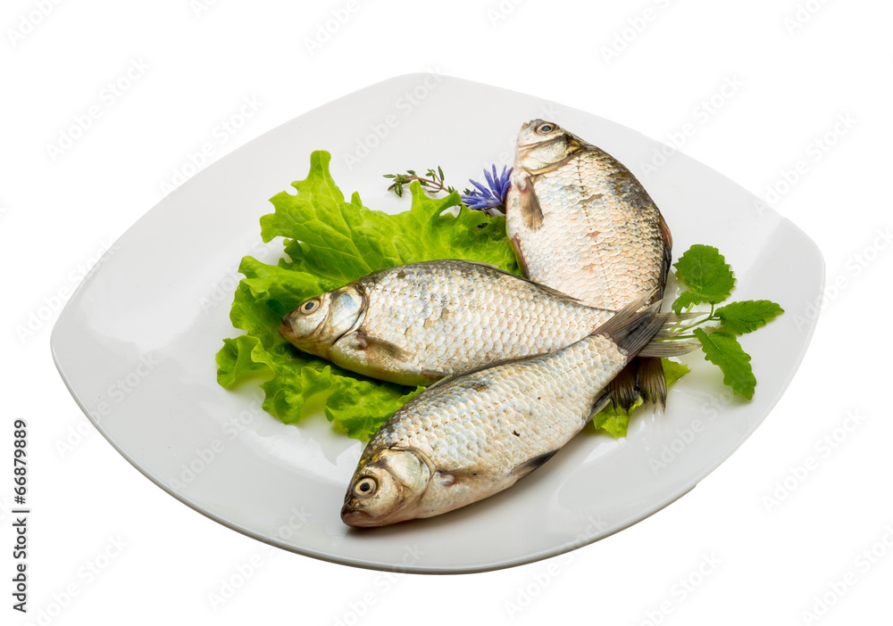 Crucian fish Crucian fish