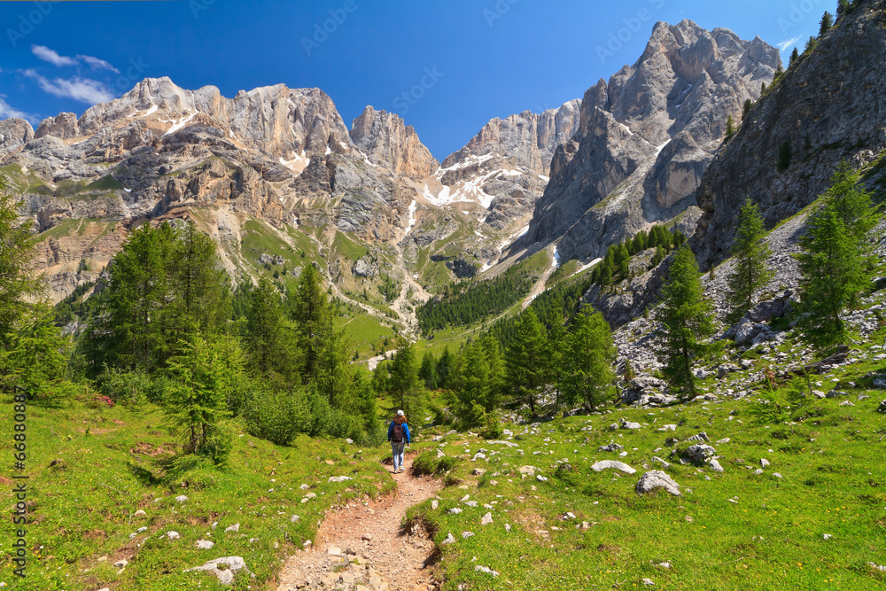 Dolomites - landscape in Contrin Valley