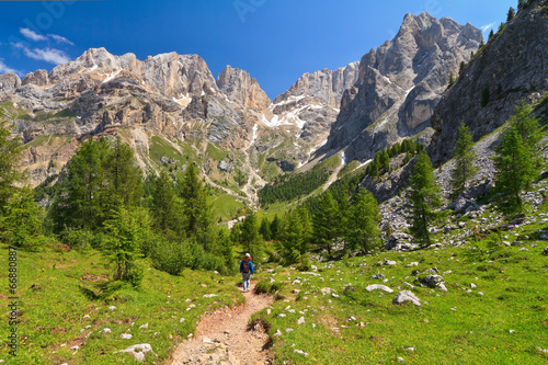 Dolomites - landscape in Contrin Valley