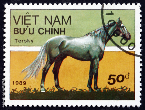 Postage stamp Vietnam 1989 Tersk Horse photo