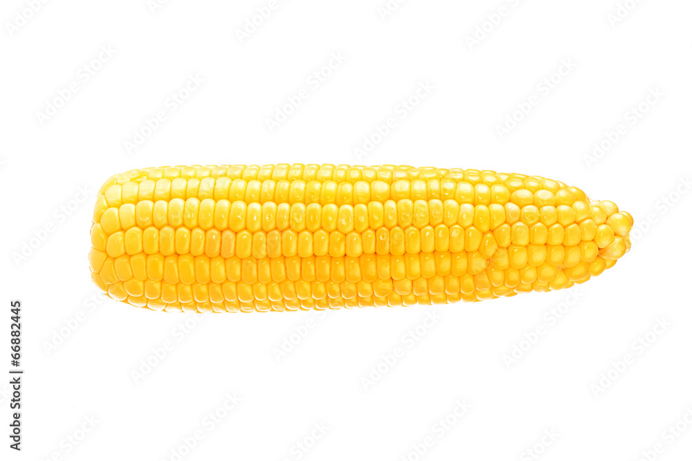 One on ear of corn isolated on a white background One on ear of corn isolated on a white background