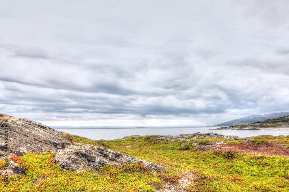 Northern Norwegian landscape