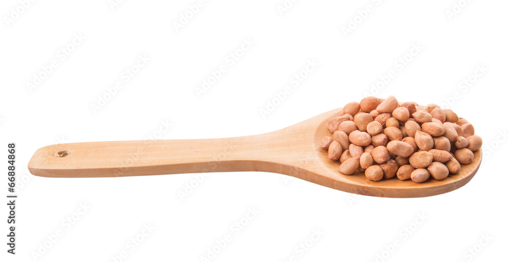 Peanut On Wooden Spoon Peanut On Wooden Spoon