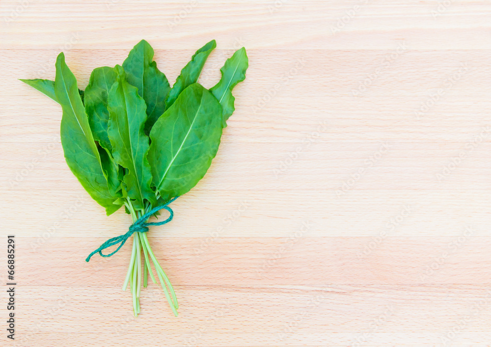 Fresh organic sorrel on cutting board Fresh organic sorrel on cutting board