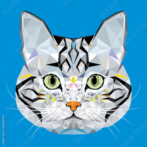 American Short hair Cat vector polygon geometric